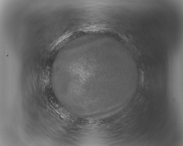 X0000085811350200703301514