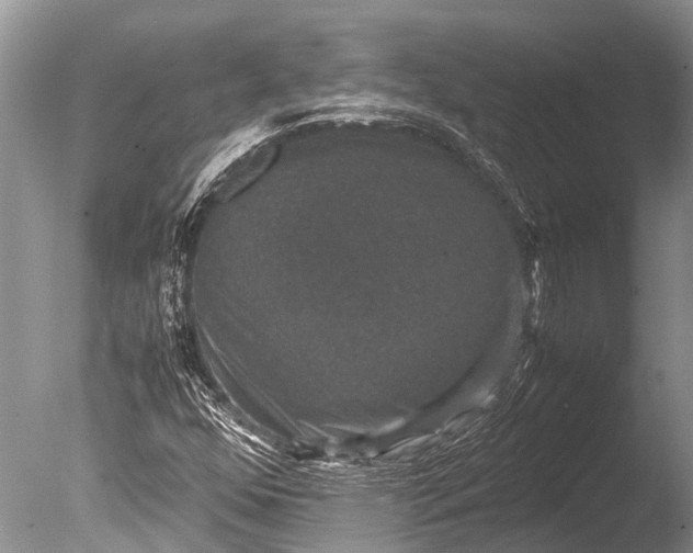 X0000085811352200703301514