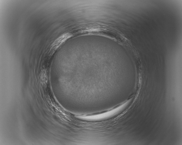 X0000085811353200703301514