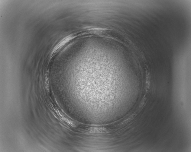 X0000085811354200703301514