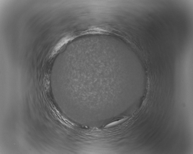 X0000085811355200703301514