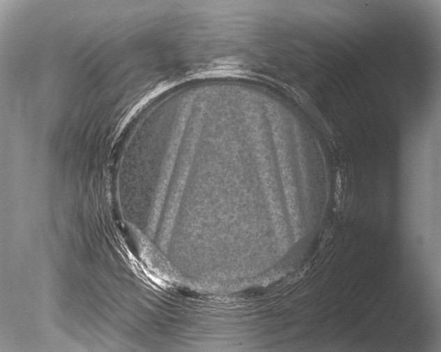 X0000085811356200703301514