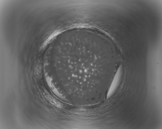 X0000085811359200703301514