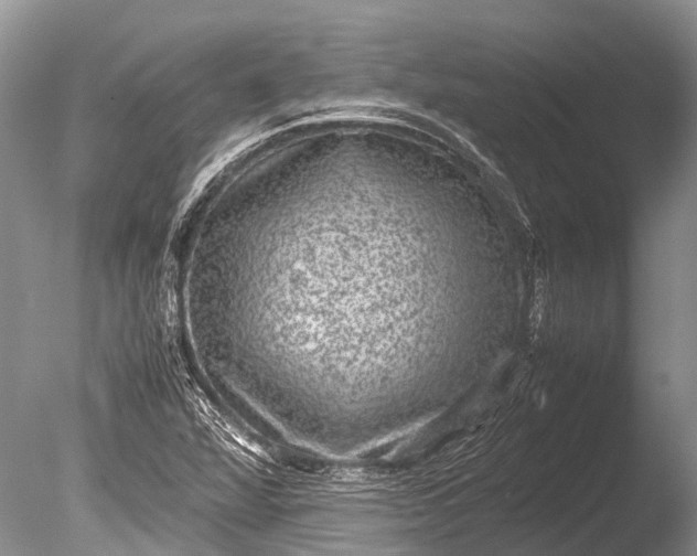 X0000085811360200703301514