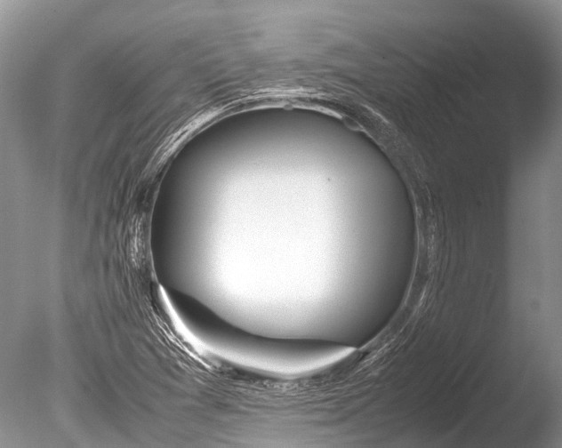 X0000085811361200703301514