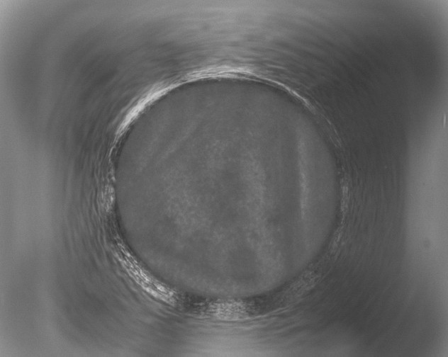 X0000085811363200703301514