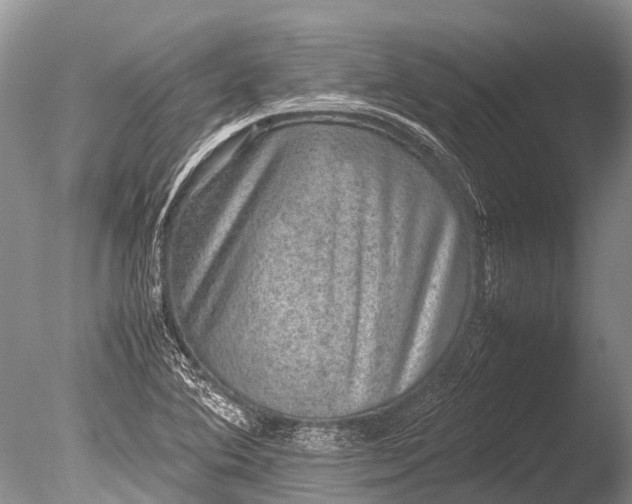 X0000085811364200703301514