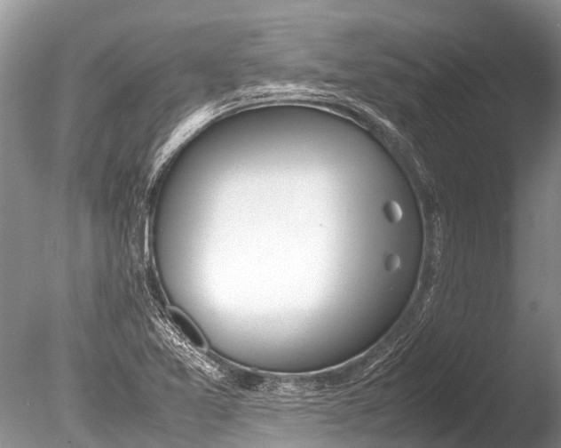 X0000085811365200703301514