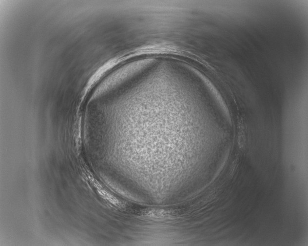 X0000085811366200703301514