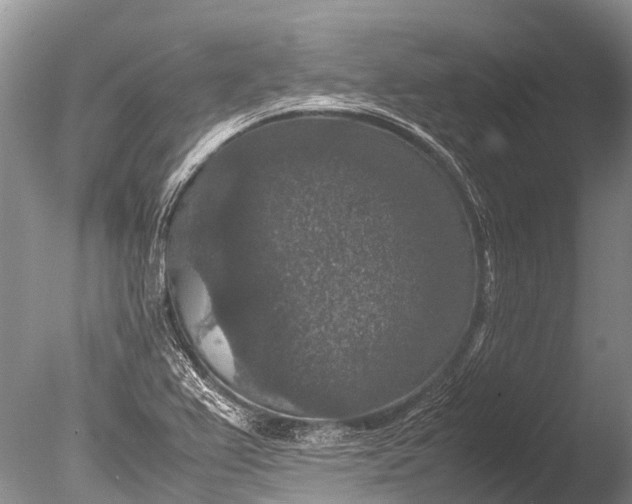 X0000085811367200703301514