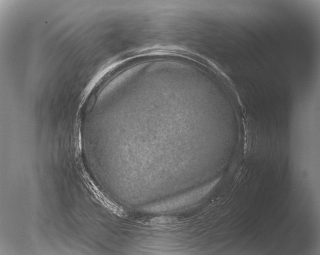 X0000085811368200703301514