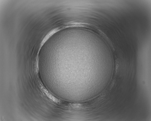 X0000085811370200703301514