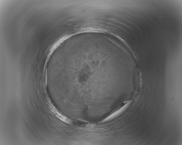 X0000085811371200703301514