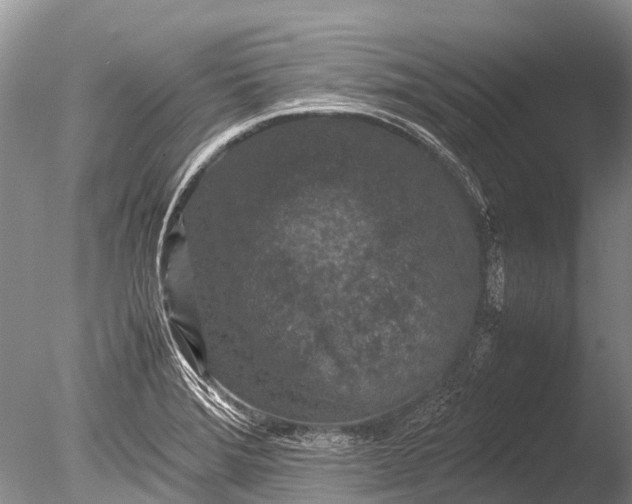 X0000085811372200703301514