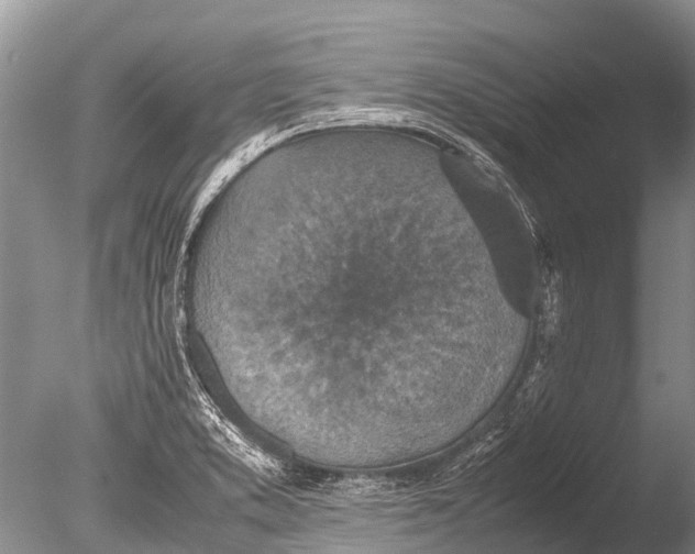 X0000085811373200703301514