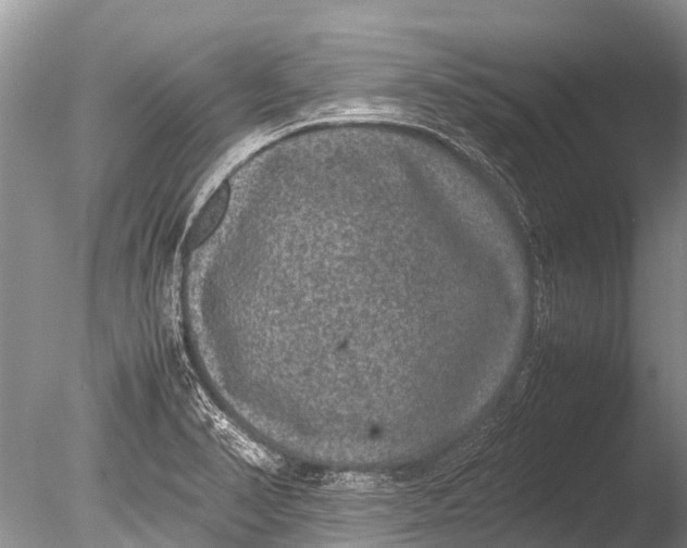 X0000085811374200703301514