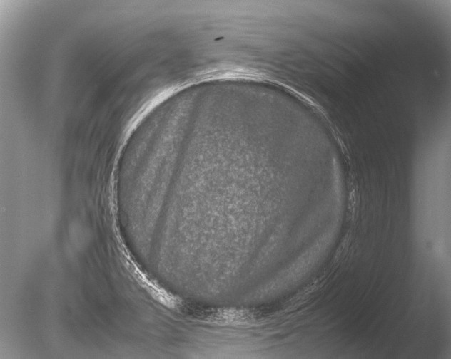 X0000085811375200703301514