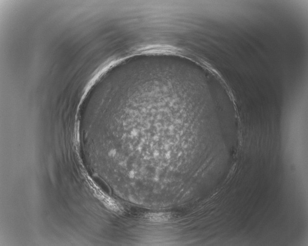 X0000085811376200703301514