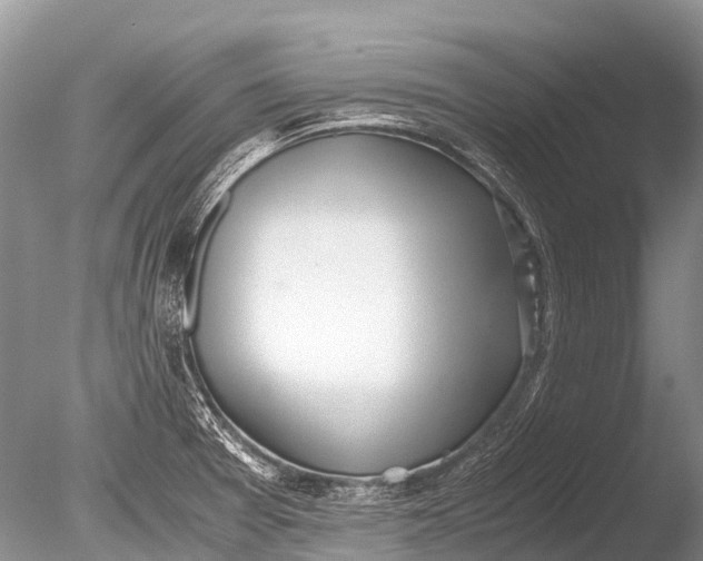 X0000085811377200703301514