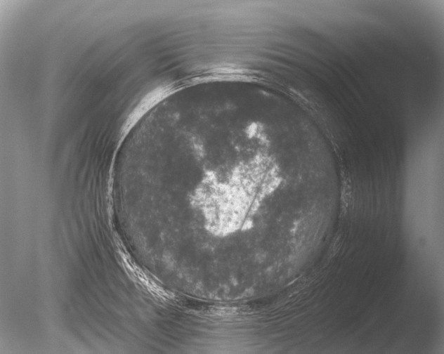 X0000085811378200703301514