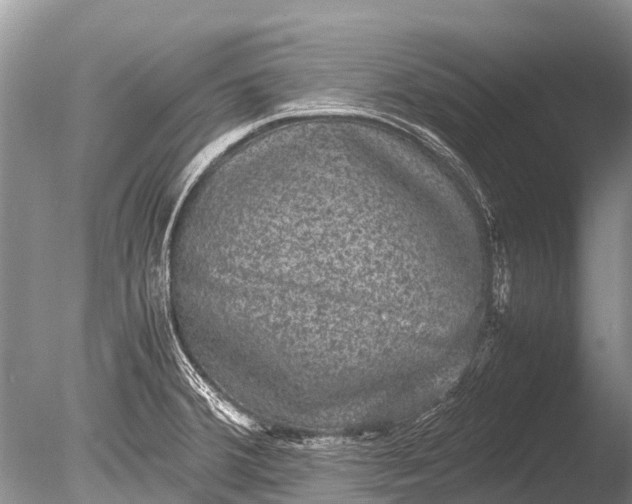 X0000085811380200703301514