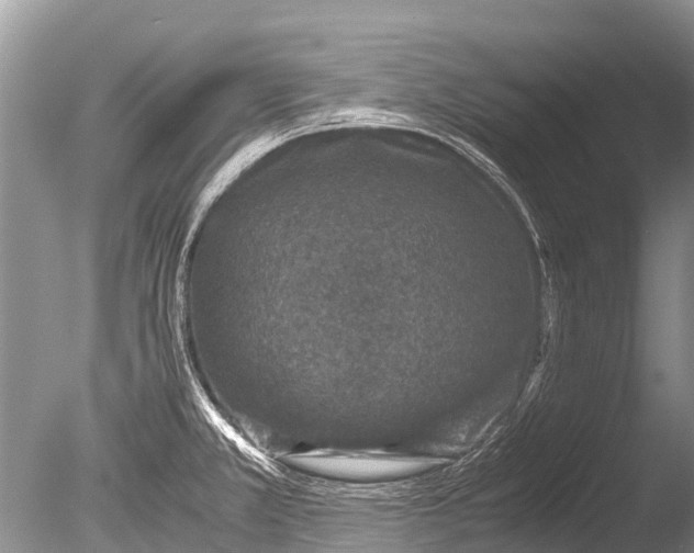 X0000085811381200703301513