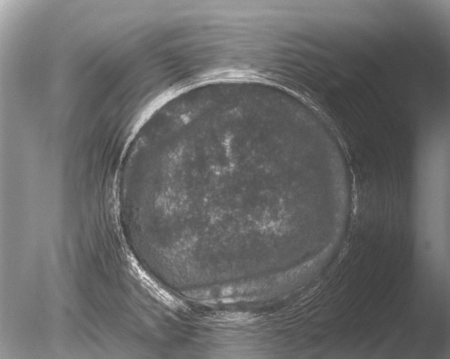 X0000085811382200703301513