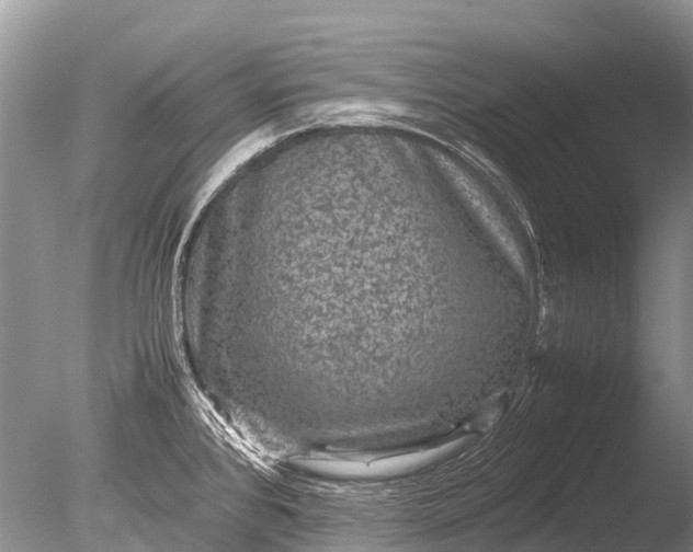 X0000085811384200703301513