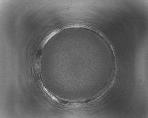 X0000085811385200703301513