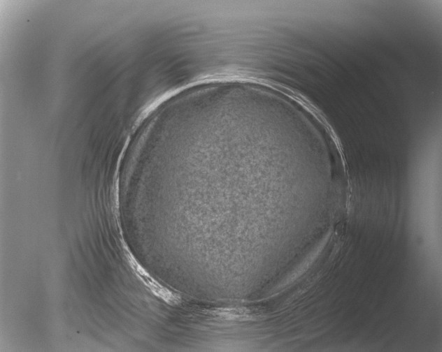 X0000085811388200703301513