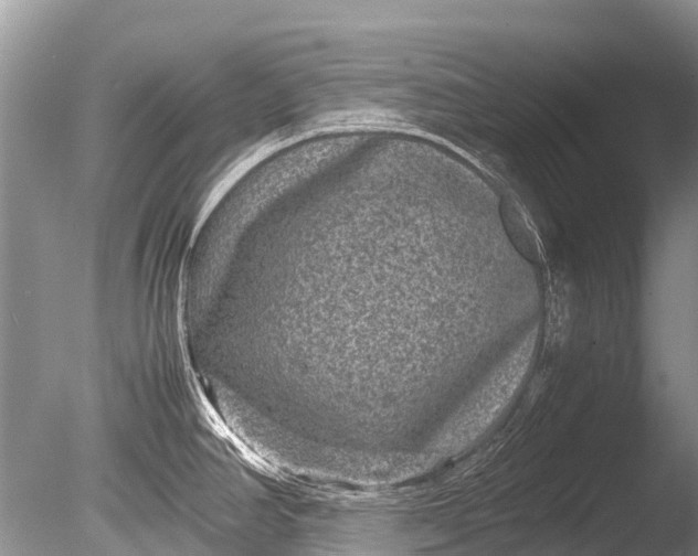 X0000085811390200703301513