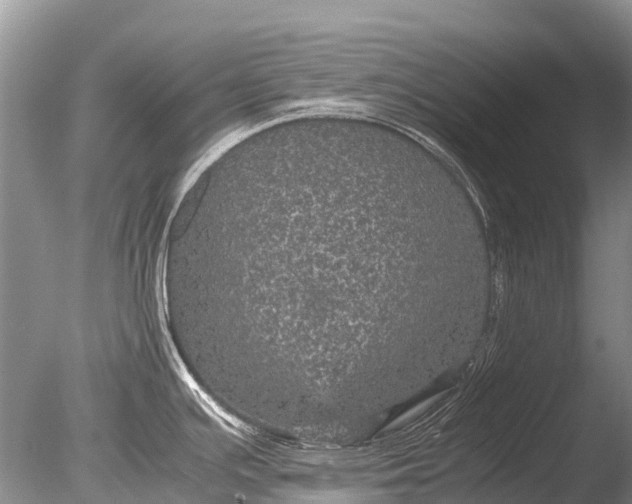 X0000085811391200703301513