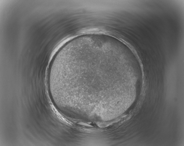 X0000085811392200703301513