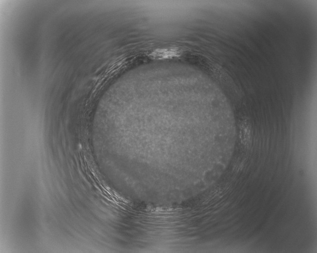 X0000085811393200703301512