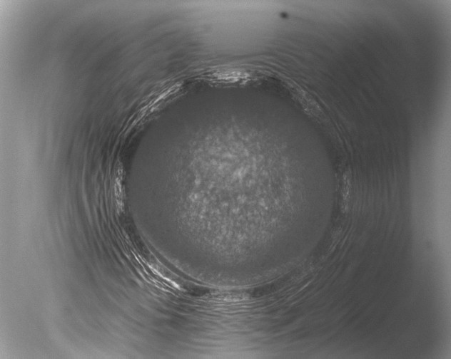 X0000085811394200703301512