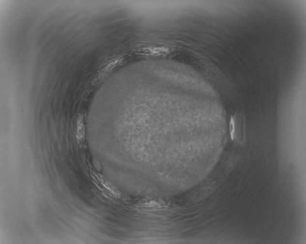 X0000085811395200703301513