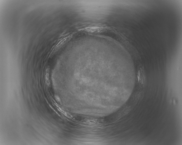 X0000085811396200703301513