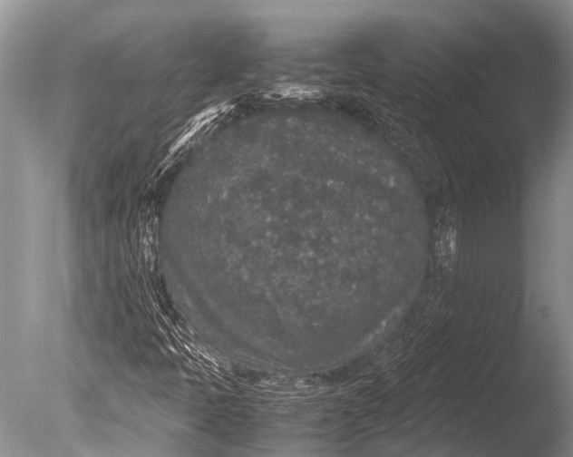 X0000085811397200703301513