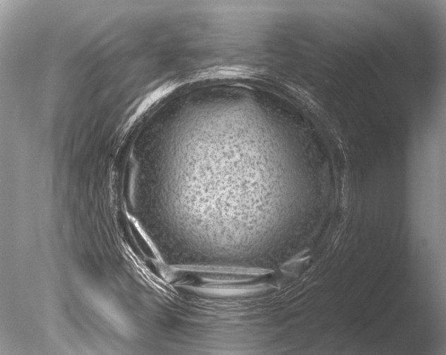 X0000085811404200703301513