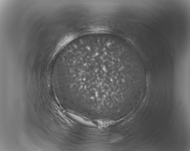 X0000085811405200703301513