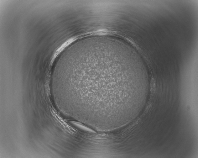 X0000085811410200703301513