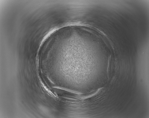 X0000085811416200703301513