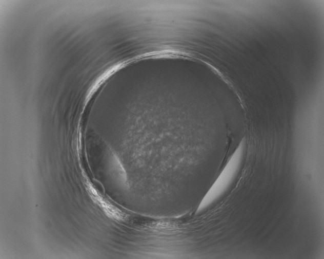 X0000085811418200703301513