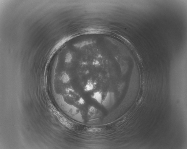 X0000085811419200703301513