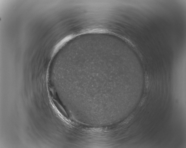 X0000085811422200703301513