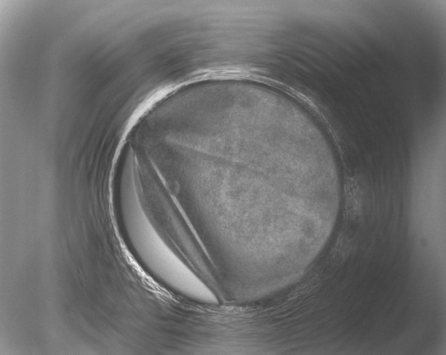 X0000085811424200703301513