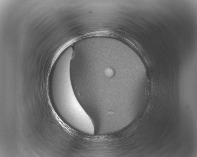 X0000085811426200703301513