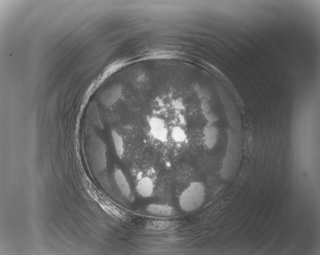 X0000085811427200703301513