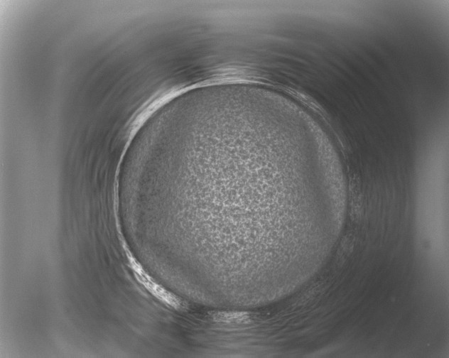 X0000085811431200703301513