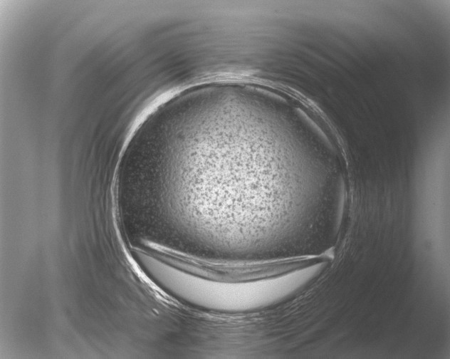 X0000085811432200703301513